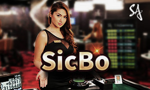 23bet bac bo cassino Jogue online
